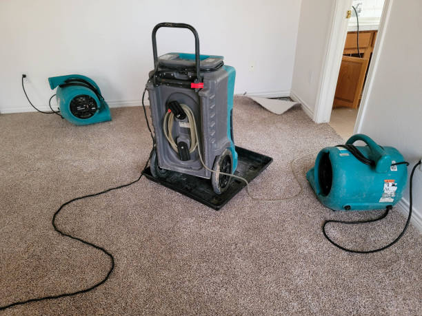 Best Flood damage cleanup  in Pinewood Estates, TX