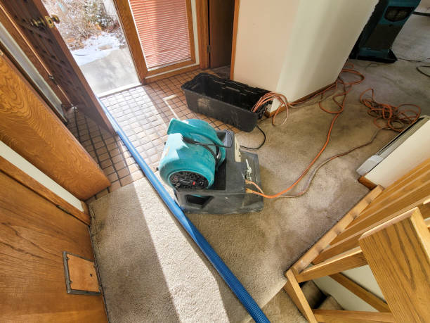 Best Water damage restoration near me  in Pinewood Estates, TX