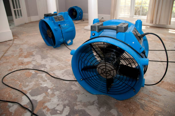 Best Commercial water damage restoration  in Pinewood Estates, TX