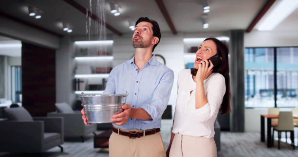 Best Water damage restoration specialists  in Pinewood Estates, TX