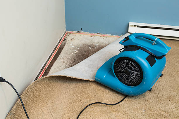 Best 24-hour water damage restoration  in Pinewood Estates, TX